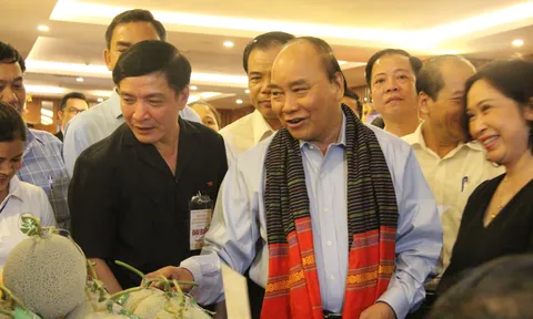 Thủ tướng Nguyễn Xuân Phúc: "Cá nhân sản xuất phân bón giả bắt bỏ tù ngay"